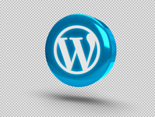 Wordpress 6.3